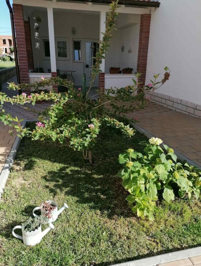 Apartmani B&S Barbat na Rabu Exteriör bild