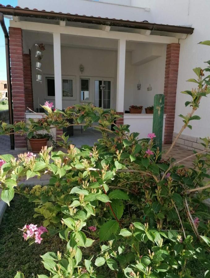 Apartmani B&S Barbat na Rabu Exteriör bild