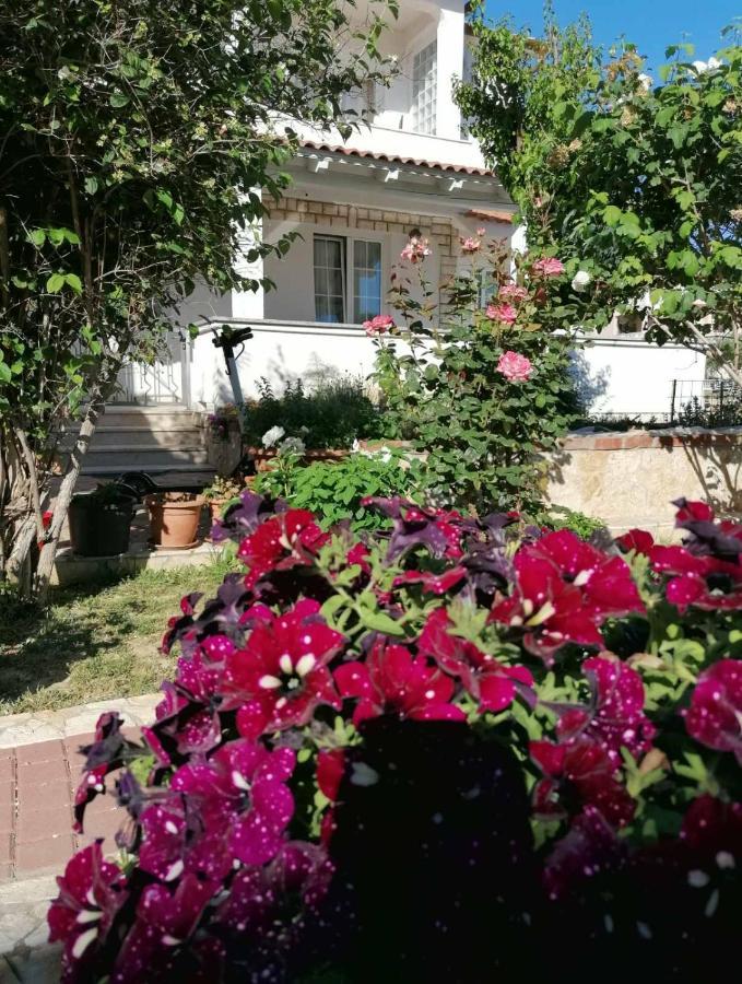 Apartmani B&S Barbat na Rabu Exteriör bild